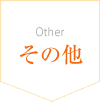 otherその他